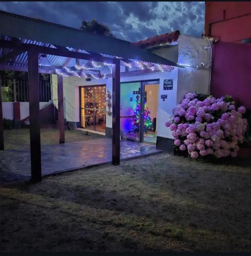 Las Violetas
