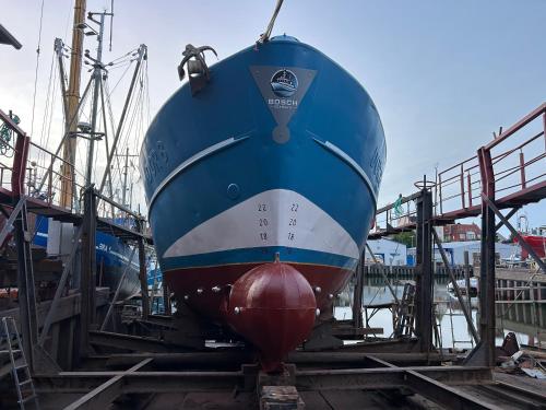 MV Marlies in 城市邊緣