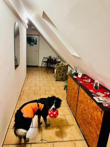 Penzión Tyché obrázok