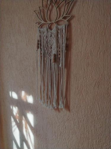 Paxanga Casa Cancunense, Cancún (Foto 6)