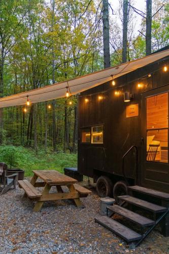 Postcard Cabins Eastern Catskills Outdoor Collection by Marriott Bonvoy - image 8