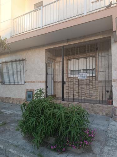 Palermo calle 1
