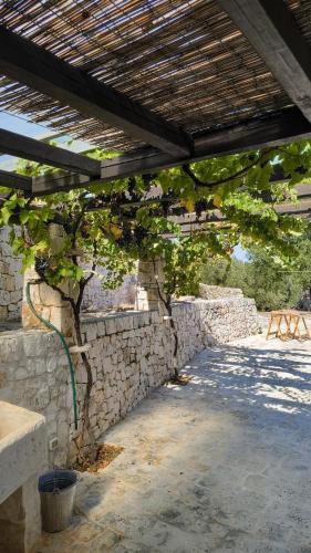 Trullo Rocca Santa in Fumarola