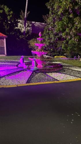 Fort Myers Inn 3