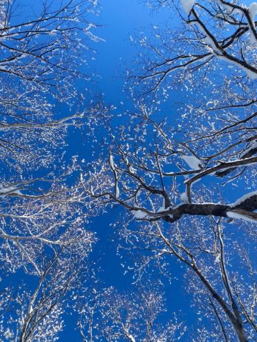 Pebble Mountain Cabin
