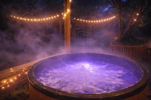 Osada Brzeziny - 25 minut od Warszawy - sauna, balia z jacuzzi, basen, altana, grill, ogród, ognisko (Osada Brzeziny - 25 minut od Warszawy - sauna, balia z jacuzzi, basen, altana, grill, ogrod, ognisko) in Вьонзовна