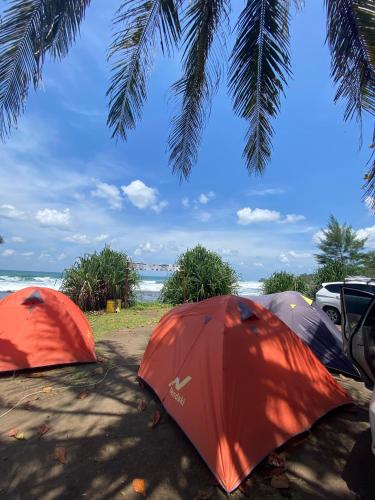 Glamour Camping Pantai Madasari - Pangandaran