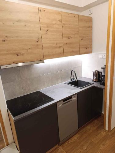 Apartment Harrachov - Riesengebirge 2400 in Novy Svet