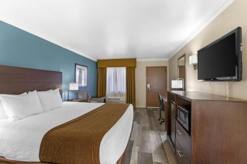 Best Western InnSuites Tucson Foothills Hotel & Suites - image 13