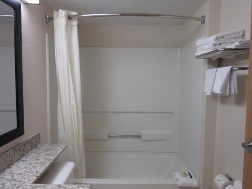 트래블로지 바이 윈덤 알링턴/댈러스 지역 - 화장실