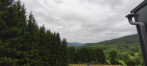 View, Apartman Nest Brcalnik in Hojsova Stráž