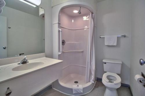 spacious three bedroom apartment in hoxton