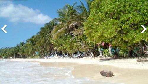 Posada Gordon Antonio – San Andres Island, NM