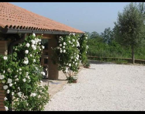 Country House - Casa Raffaella di Michele e Sven in Allerona
