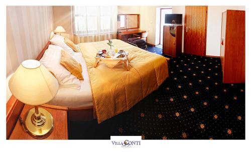 Hotel Villa Conti - image 11