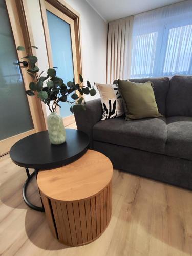 Apartament CzestoStay Centrum Parking FREE - Czestochowa