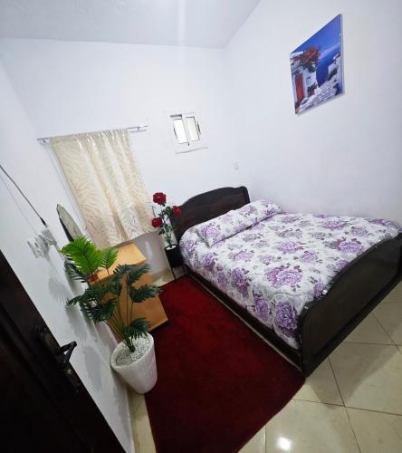 2 bedrooms, 3 beds