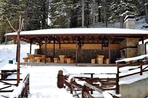 المرافق, The Stream Resort Pamporovo in بومبوروفو