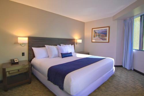 1 king bed