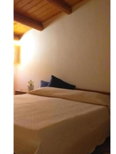 Amuni Home - image 2