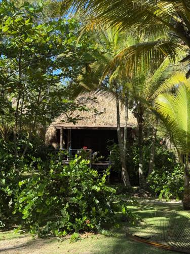 Playa Pikua Ecolodge in Calabazo