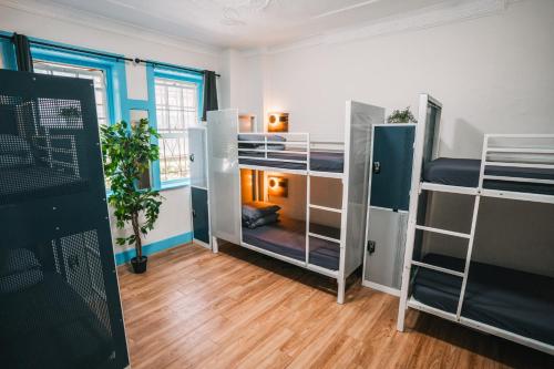 Mad Monkey Potts Point - image 11
