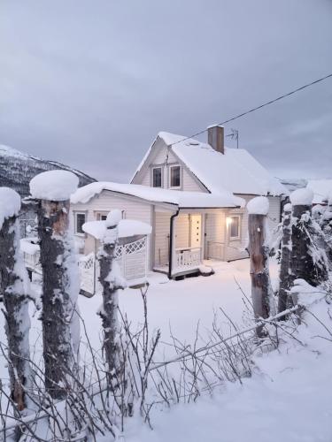 Фасада на хотела, Cozy Cottage in Storsteinnes