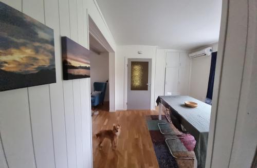 Cozy Cottage in Storsteinnes