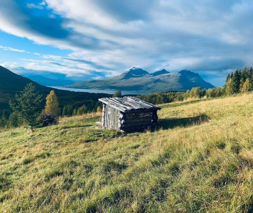 Cozy Cottage in Storsteinnes
