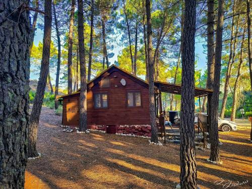 A szálláshely kívülről, Cabaña Ananda Río Mundo (Cabana Ananda Rio Mundo) in Ripoar