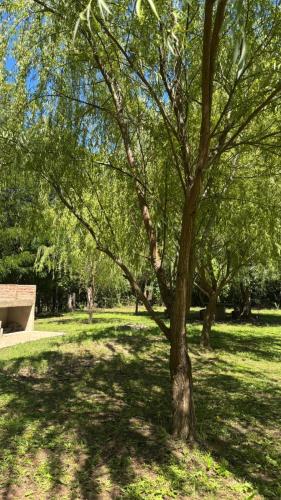 Cabaña Concepcion del Valle (Cabana Concepcion del Valle) in Cruz de Caña