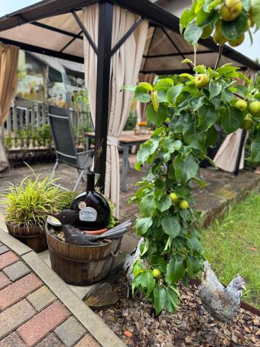 2 bedroom Apartment in wine region in Ipsheim