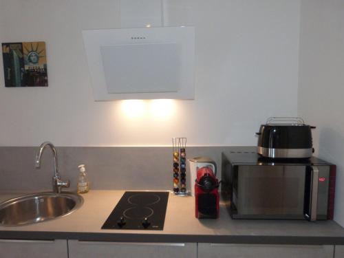 مطبخ, Loft Zen SPA Balneo Parking Gratuit Sauna Hammam Billard in Agen City Center
