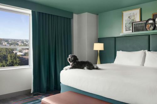 Hotel Indigo New Orleans Garden District - image 11