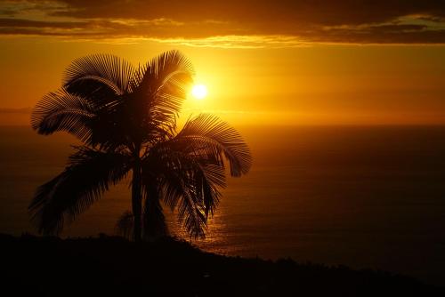 Kilátás, Kona Farm Stay, Ocean and Sunset Views in Honalo (HI)