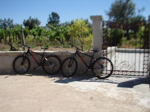 Casa do Lagar de Tazem - image 10