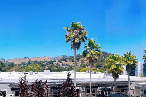 Four Points by Sheraton San Rafael Marin County - image 12