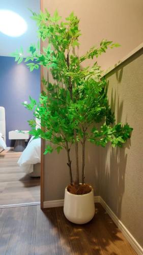 和居 小満 静かで広い一軒家で家族とゆっくり過ごせる宿