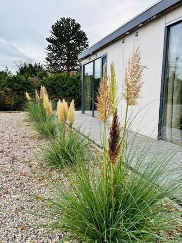 Loft-Charme trifft Natur - helles Modulhaus am NOK in Quarnbek, Deutschland