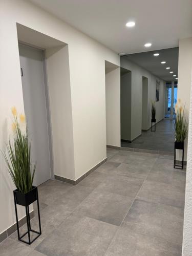 Zilina in Marijampole