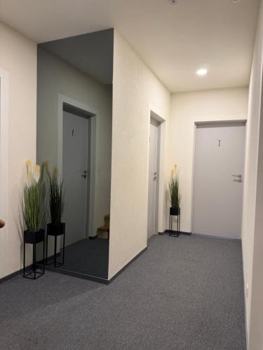 Zilina in Marijampole