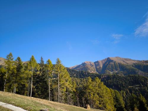 baita samona 1453 - chalet- in Ronchi Valsugana