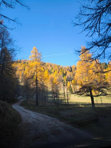baita samona 1453 - chalet- in Ronchi Valsugana