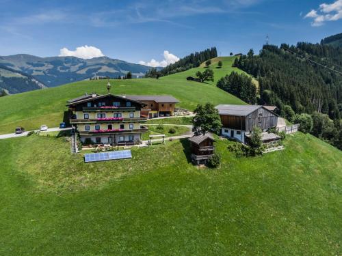 View, Bio Bauernhof Holzegghof in Zell am See in Erlberg