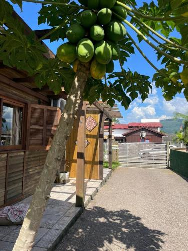 cabana portal das montanhas in Mampituba