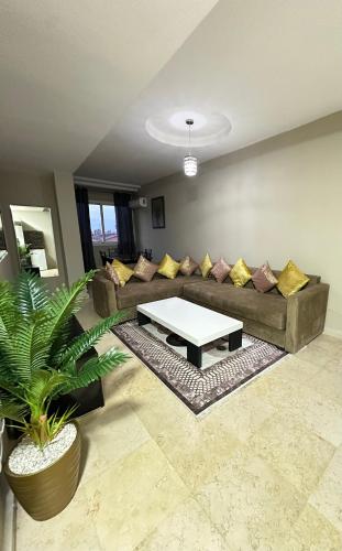apartment 9 imm O