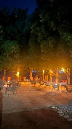 ArabTribe TENT STAY in Murquab