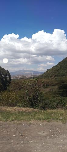 Fornix in Ogijo