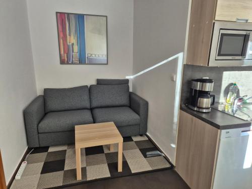 Apartment Draco in Harrachov