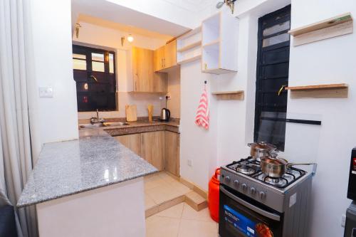 Cuina, Modern 1BR Apartment in Membley & near Ruiru Bypass, Kenyatta University & AMREF, Fast WiFi & Parkin in Ruiru